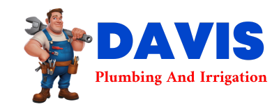 Trusted plumber in DAMERON